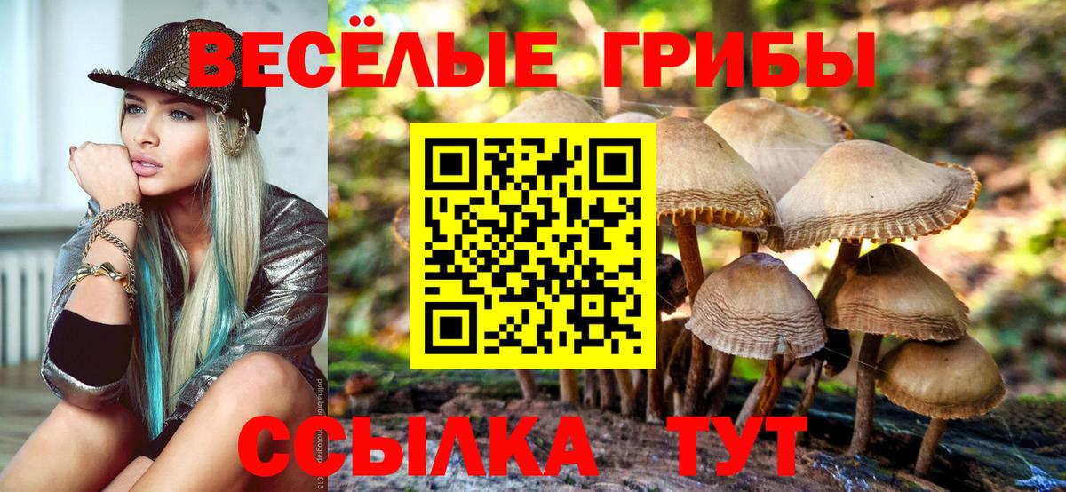 Гашиш  АМФЕТАМИН   Метамфетамин  APVP СК   Вход с VPN  COCAIN  Киселёвск  МЕФ  